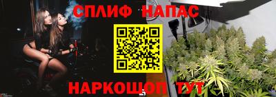 индика Комсомольск-на-Амуре