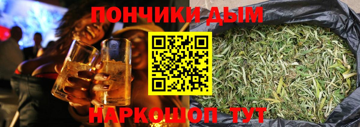 Каннабис сатива Канаш